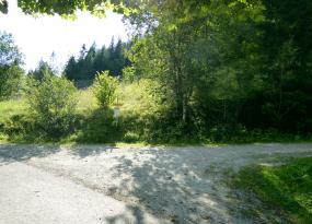 Abzweigung zur Forststraße rechts